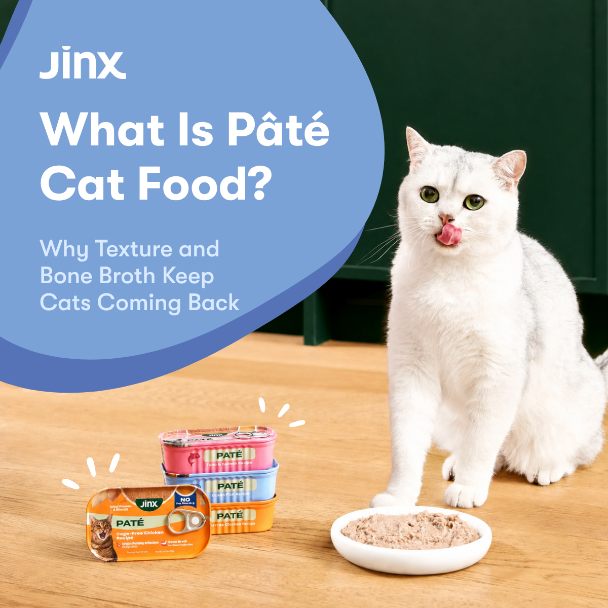 What Is Pâté Cat Food? Why Texture and Bone Broth Keep Cats Coming Back