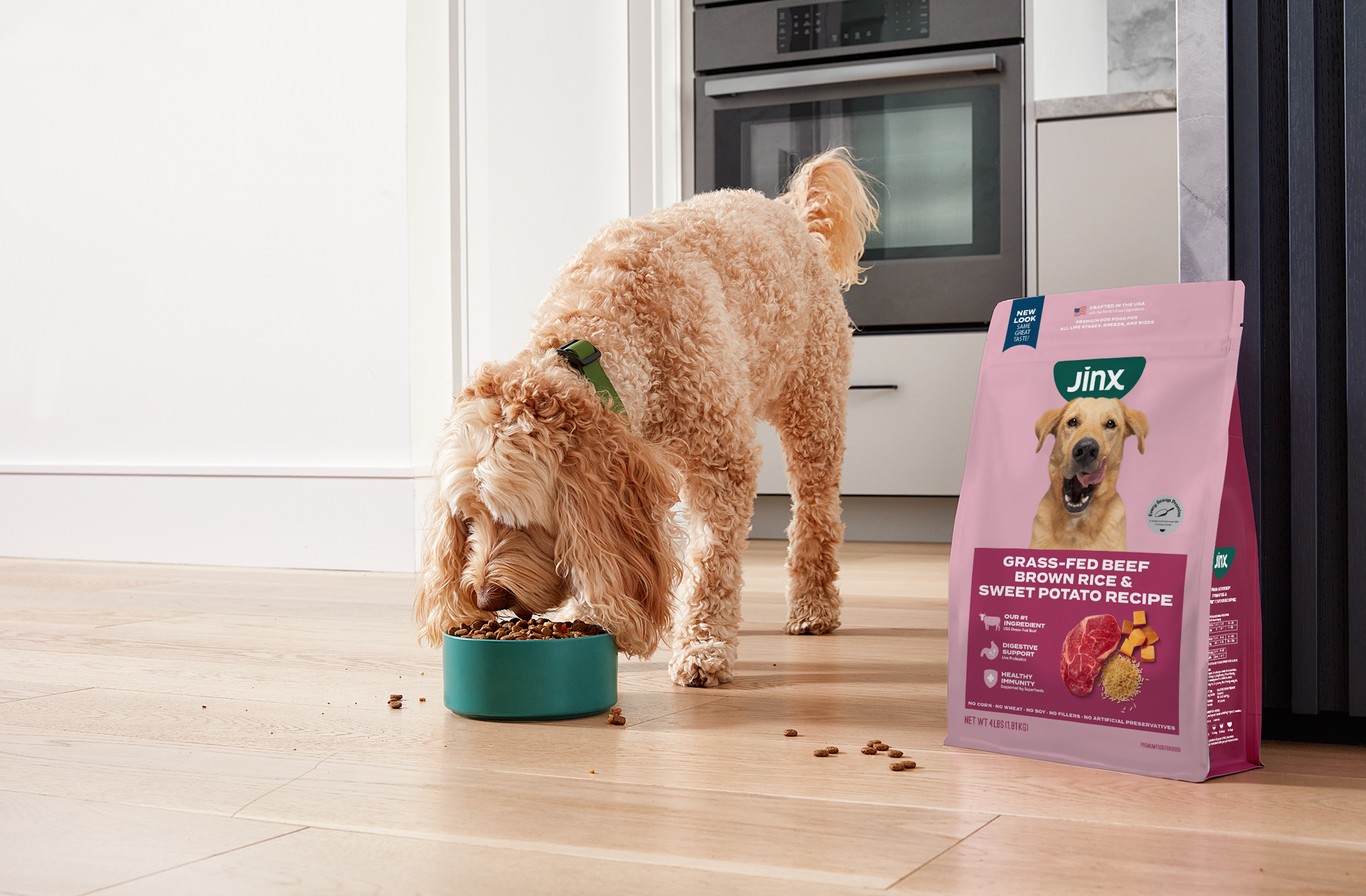 How Long Does It Take A Dog To Digest Food