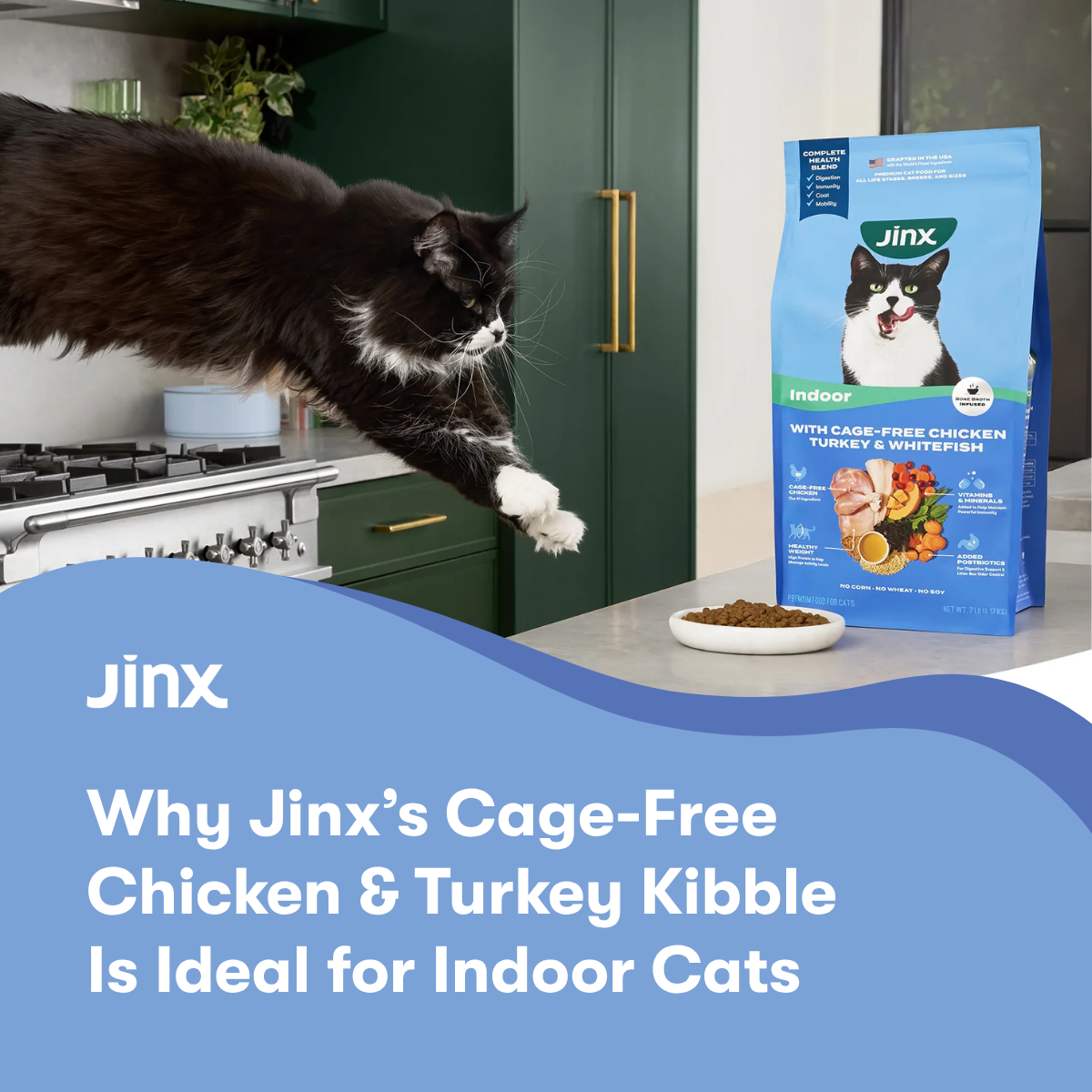 Why Jinx’s Cage-Free Chicken, Turkey, & Whitefish Kibble Is Ideal for Indoor Cats