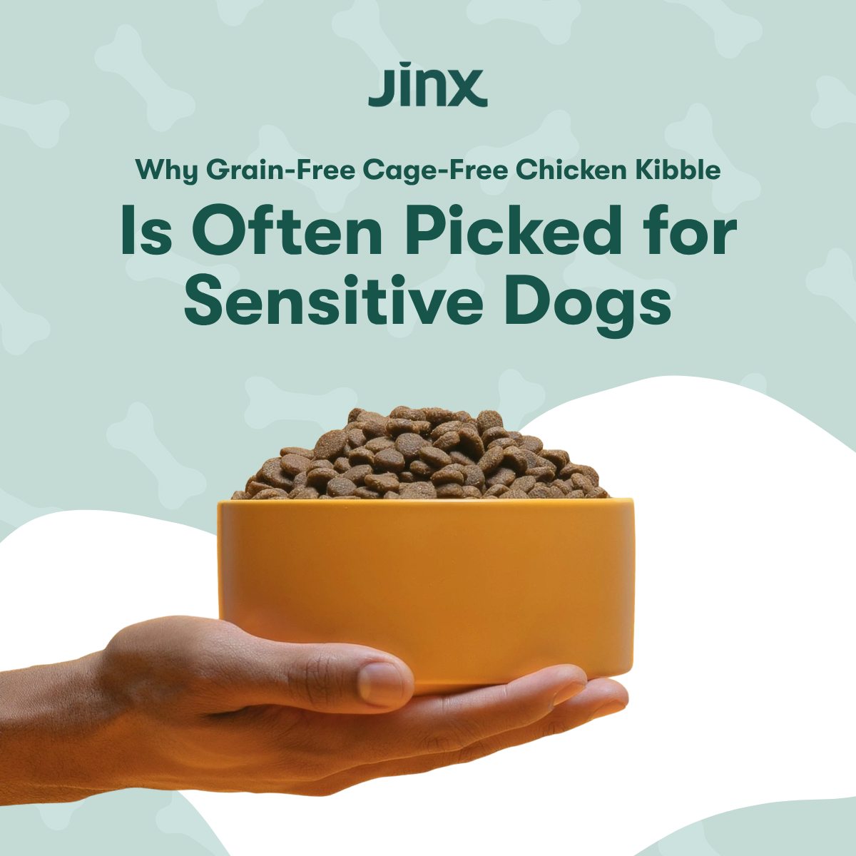 Why Grain-Free Cage-Free Chicken Kibble Is Often Picked for Sensitive Dogs