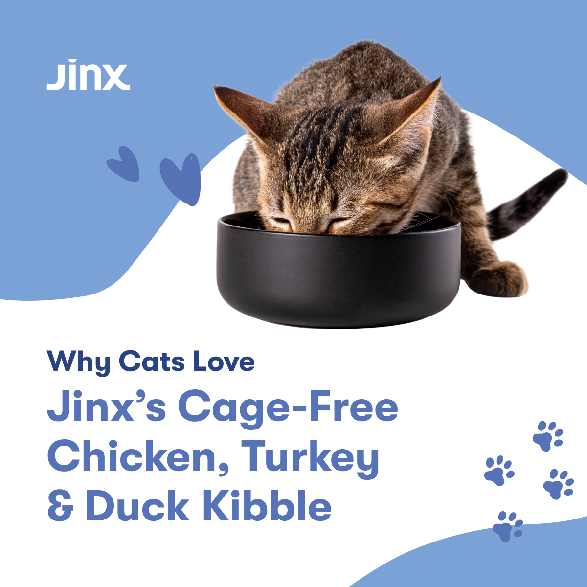 Why Cats Love Jinx’s Cage-Free Chicken, Turkey & Duck Dry Food
