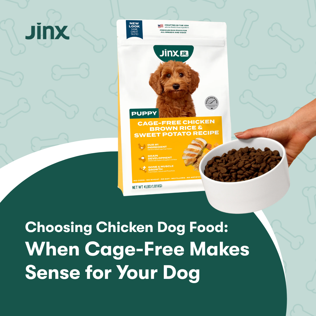 Choosing Chicken Dog Food: When Cage-Free Makes Sense for Your Dog