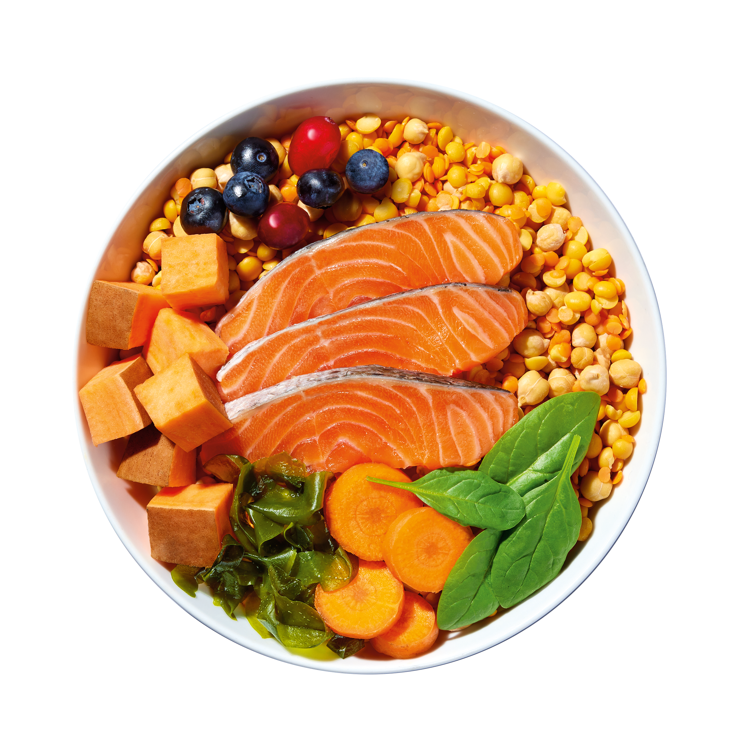 What Is Hypoallergenic Dog Food?