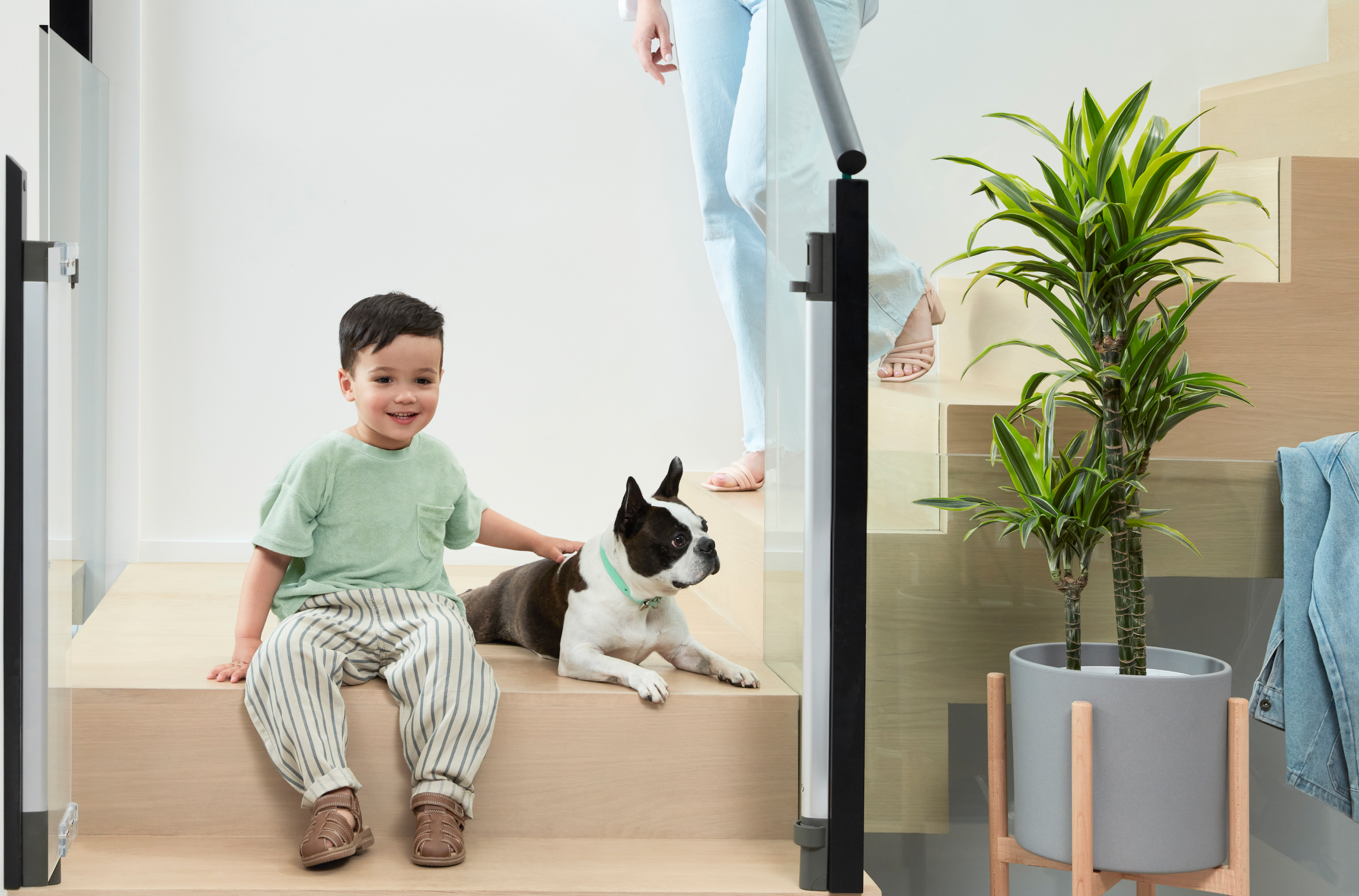 The Best Dog Breeds For Families With Children