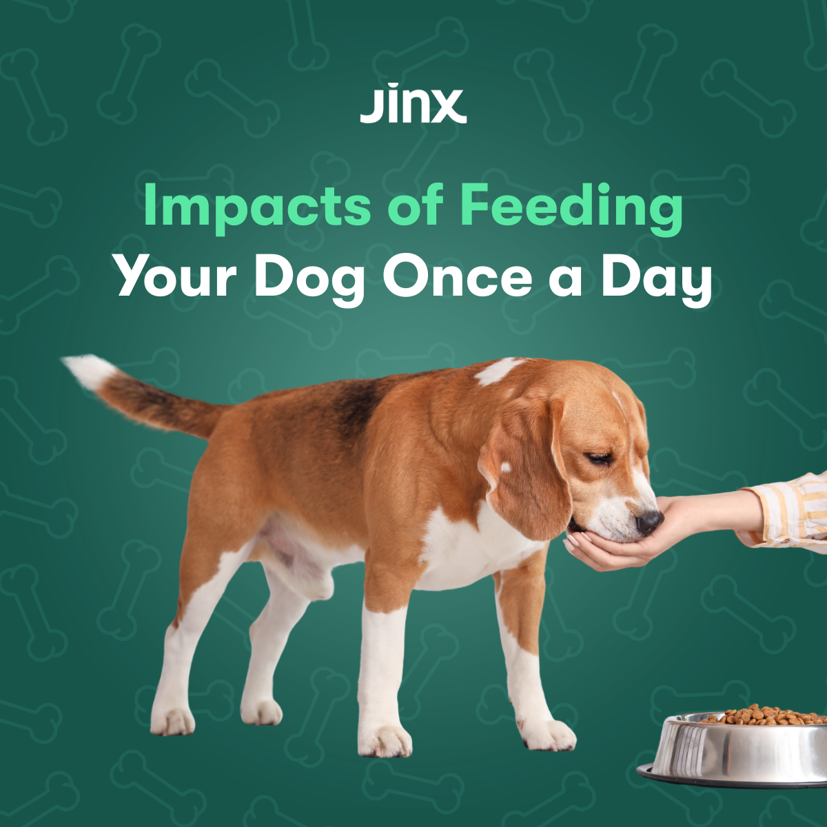 Impacts of Feeding Your Dog Once a Day