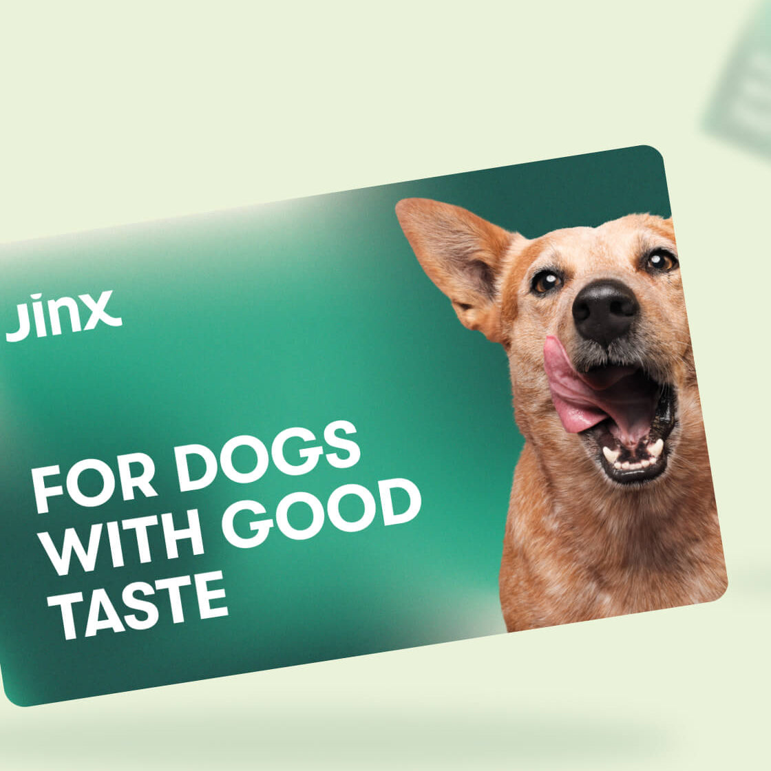Jinx E-Gift Card with a dog licking it's lips on one side and for dogs with good taste text on the other on a green background.